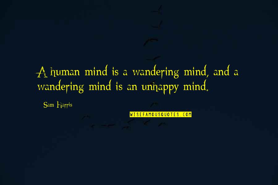 Tomate Verde Quotes By Sam Harris: A human mind is a wandering mind, and
