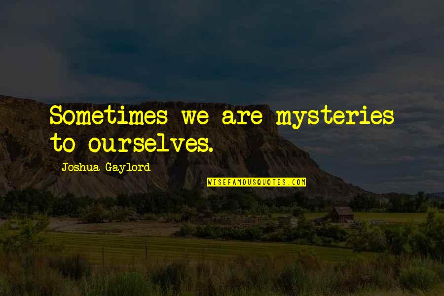 Tomb Raider Larson Quotes By Joshua Gaylord: Sometimes we are mysteries to ourselves.