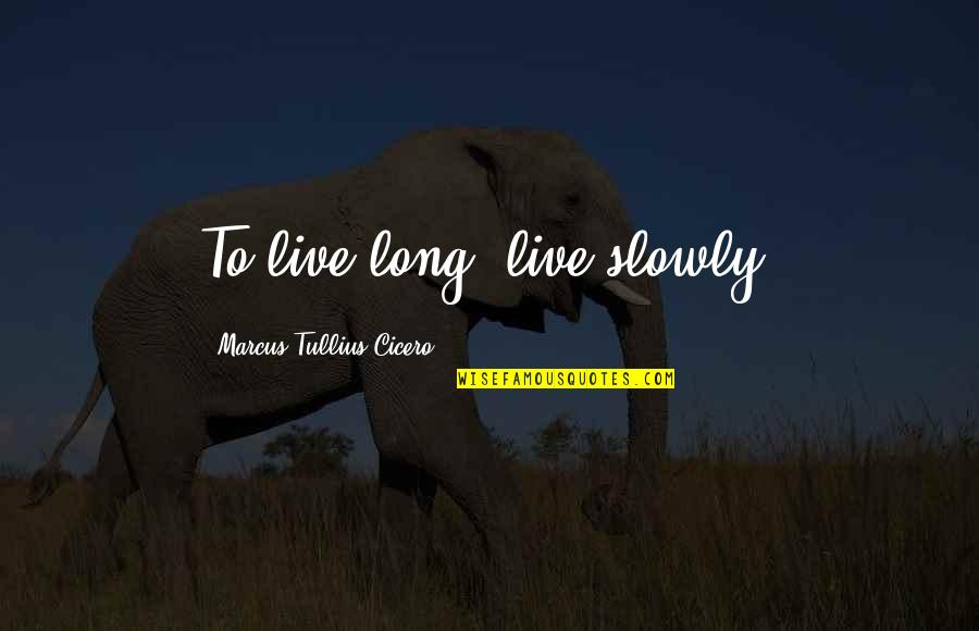 Tombyards Quotes By Marcus Tullius Cicero: To live long, live slowly. Tombyards Quotes By Marcus Tullius Cicero: To live long, live slowly.