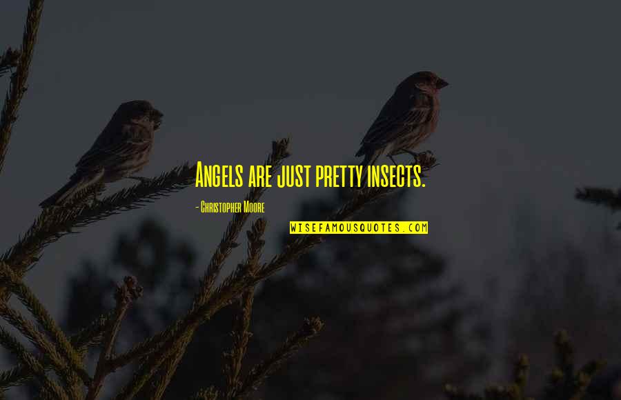 Tomkinson School Quotes By Christopher Moore: Angels are just pretty insects. Tomkinson School Quotes By Christopher Moore: Angels are just pretty insects.