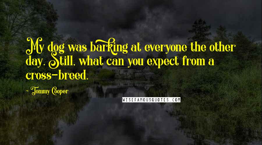 Tommy Cooper quotes: My dog was barking at everyone the other day. Still, what can you expect from a cross-breed.