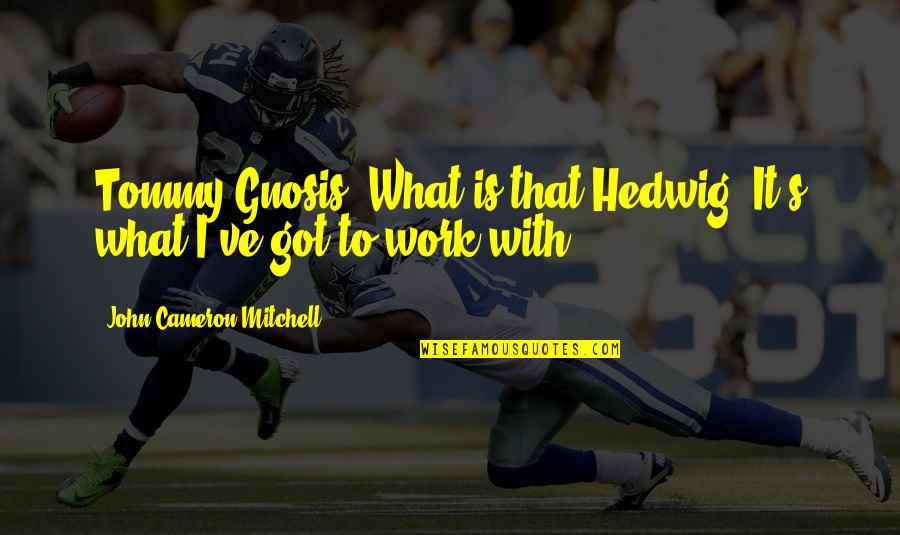 Tommy John Quotes By John Cameron Mitchell: Tommy Gnosis: What is that?Hedwig: It's what I've Tommy John Quotes By John Cameron Mitchell: Tommy Gnosis: What is that?Hedwig: It's what I've