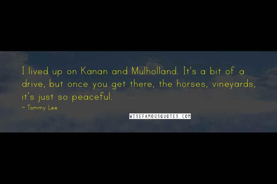 Tommy Lee quotes: I lived up on Kanan and Mulholland. It's a bit of a drive, but once you get there, the horses, vineyards, it's just so peaceful.