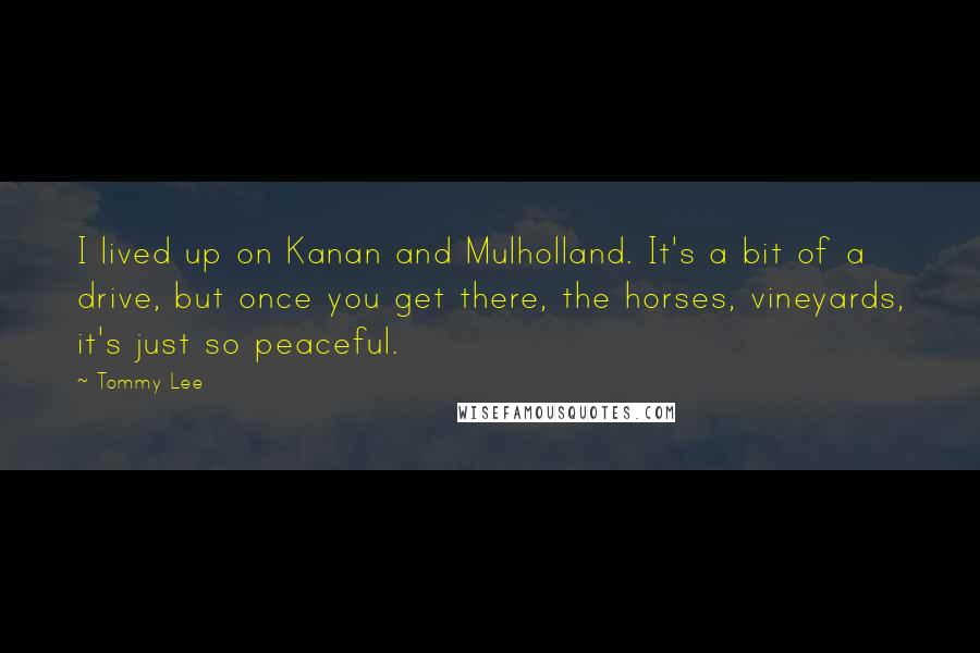 Tommy Lee quotes: I lived up on Kanan and Mulholland. It's a bit of a drive, but once you get there, the horses, vineyards, it's just so peaceful. Tommy Lee quotes: I lived up on Kanan and Mulholland. It's a bit of a drive, but once you get there, the horses, vineyards, it's just so peaceful.