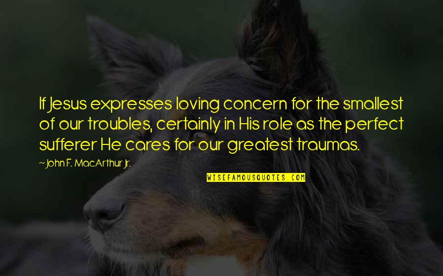 Tomography Scan Quotes By John F. MacArthur Jr.: If Jesus expresses loving concern for the smallest Tomography Scan Quotes By John F. MacArthur Jr.: If Jesus expresses loving concern for the smallest