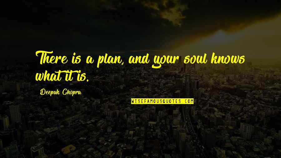 Tomorrow Is My Exam Funny Quotes By Deepak Chopra: There is a plan, and your soul knows