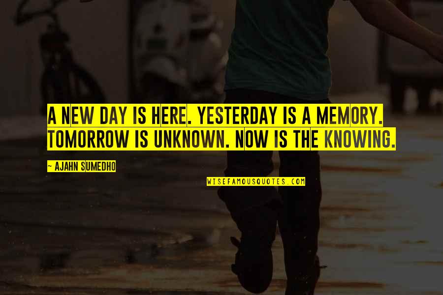 Tomorrow Is The Day Quotes By Ajahn Sumedho: A new day is here. Yesterday is a