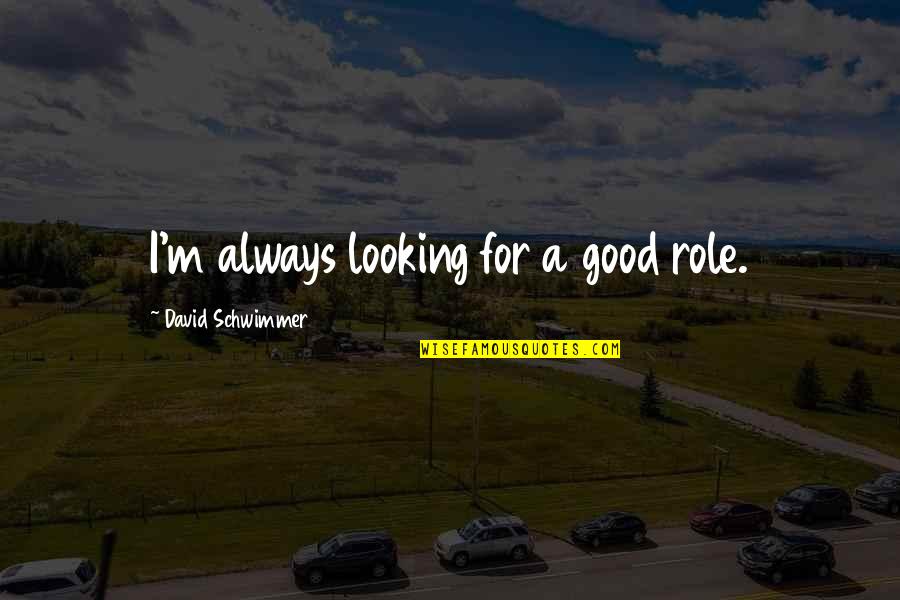 Tomorrow Isn't Promised Today Quotes By David Schwimmer: I'm always looking for a good role.
