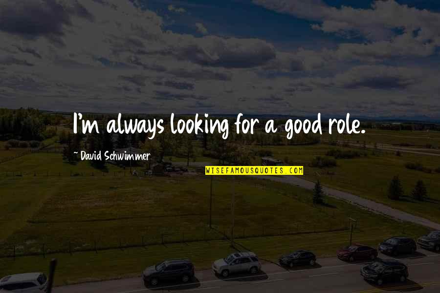 Tomorrow Isn't Promised Today Quotes By David Schwimmer: I'm always looking for a good role. Tomorrow Isn't Promised Today Quotes By David Schwimmer: I'm always looking for a good role.