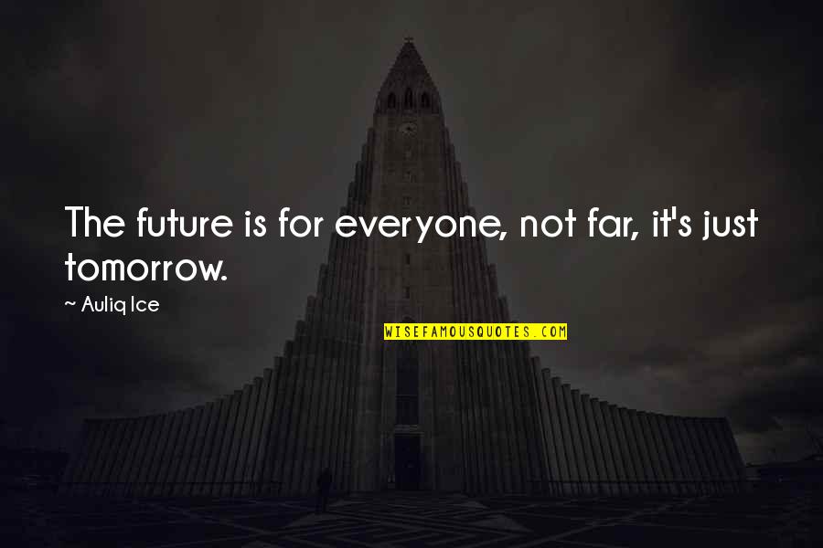 Tomorrow Success Quotes By Auliq Ice: The future is for everyone, not far, it's