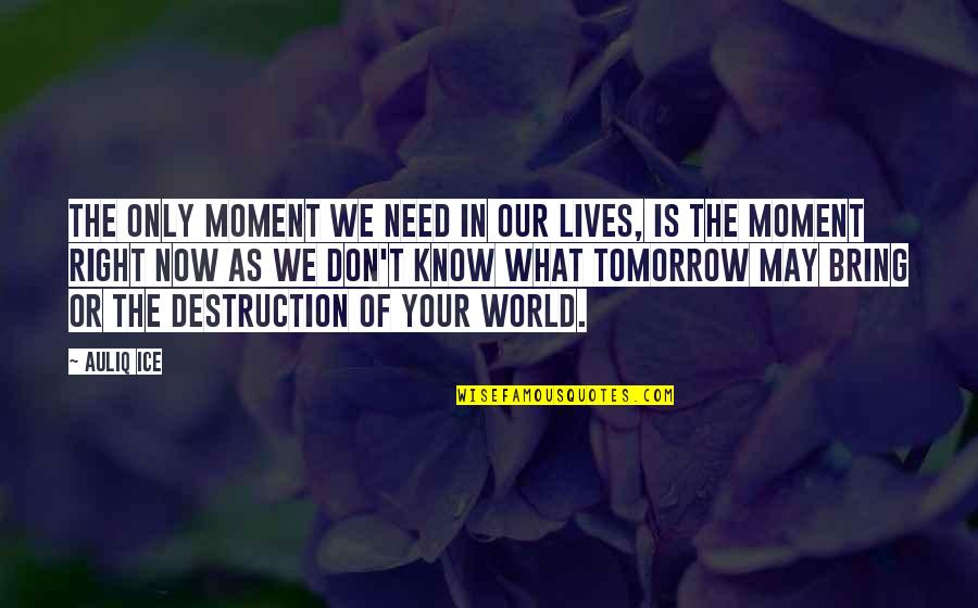 Tomorrow World Quotes By Auliq Ice: The only moment we need in our lives,