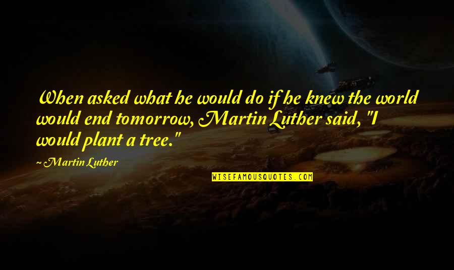 Tomorrow World Quotes By Martin Luther: When asked what he would do if he