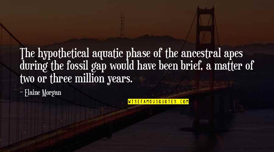 Tomoyasu Bnha Quotes By Elaine Morgan: The hypothetical aquatic phase of the ancestral apes Tomoyasu Bnha Quotes By Elaine Morgan: The hypothetical aquatic phase of the ancestral apes