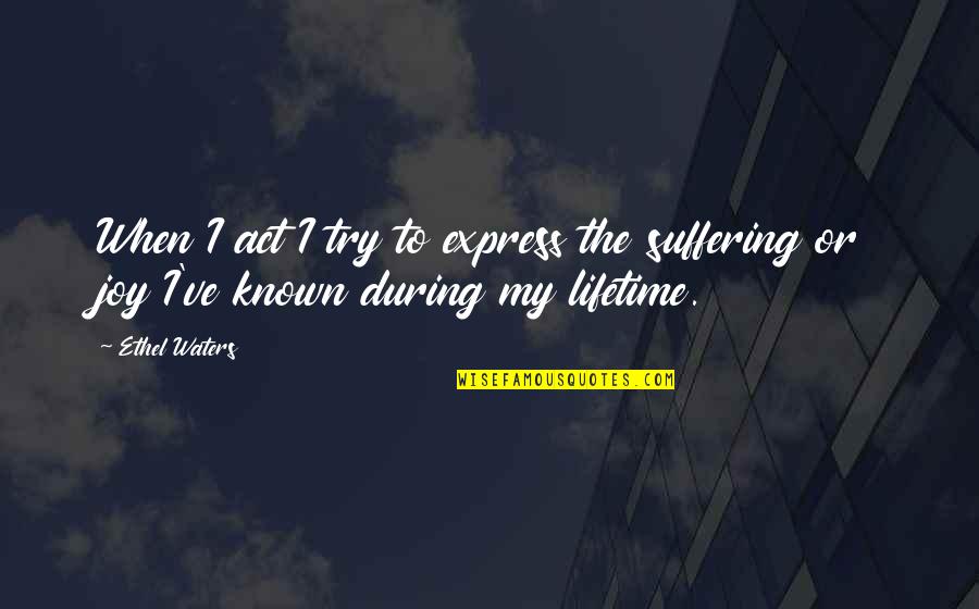 Tomoyasu Fuji Quotes By Ethel Waters: When I act I try to express the