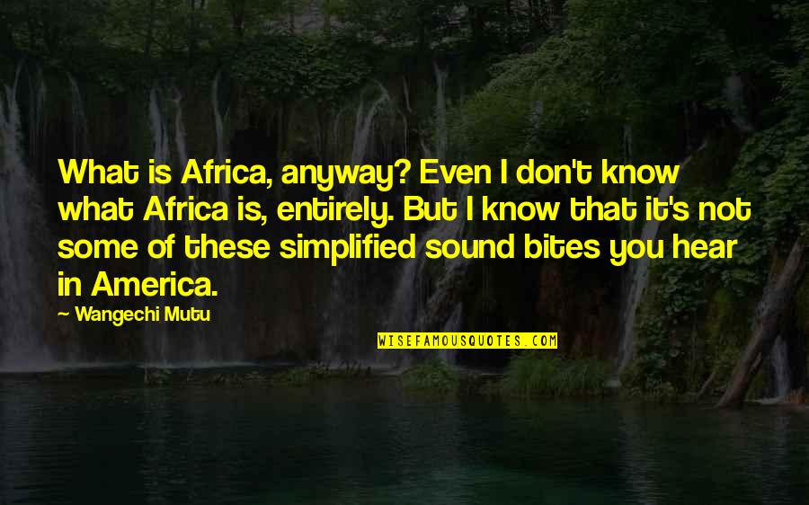 Tomoyo Quotes By Wangechi Mutu: What is Africa, anyway? Even I don't know