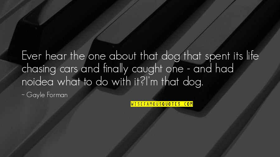 Tonality In Painting Quotes By Gayle Forman: Ever hear the one about that dog that