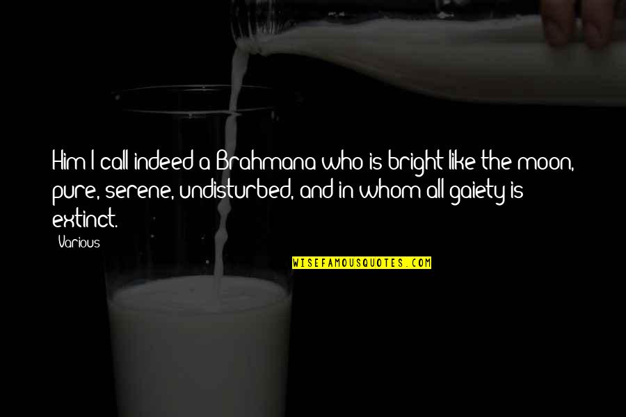 Tonebone Pedals Quotes By Various: Him I call indeed a Brahmana who is