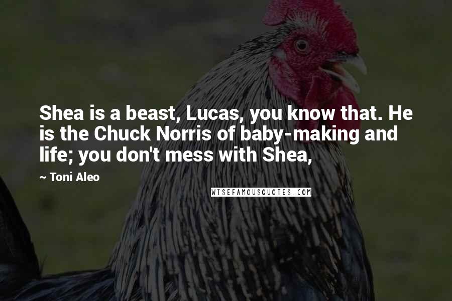 Toni Aleo quotes: Shea is a beast, Lucas, you know that. He is the Chuck Norris of baby-making and life; you don't mess with Shea,