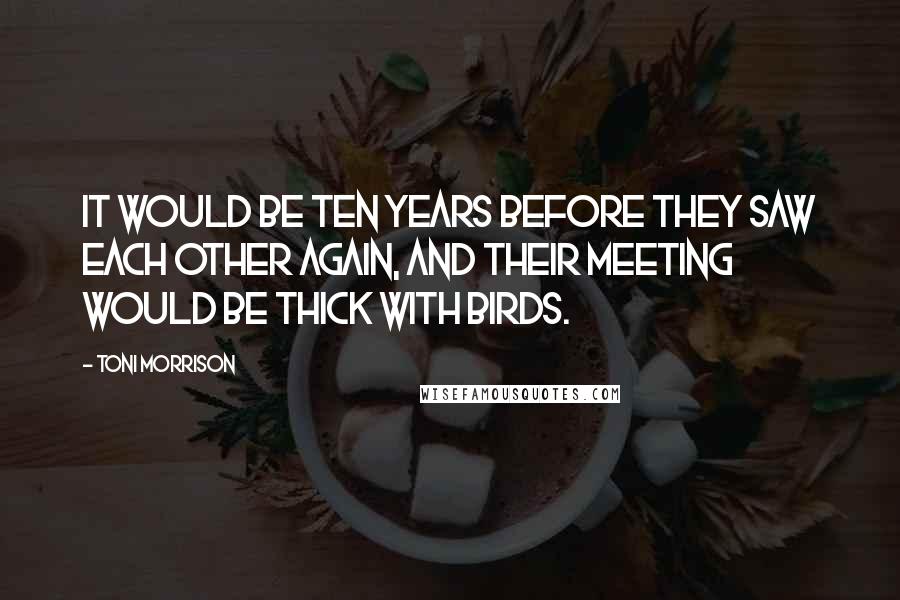 Toni Morrison quotes: It would be ten years before they saw each other again, and their meeting would be thick with birds.