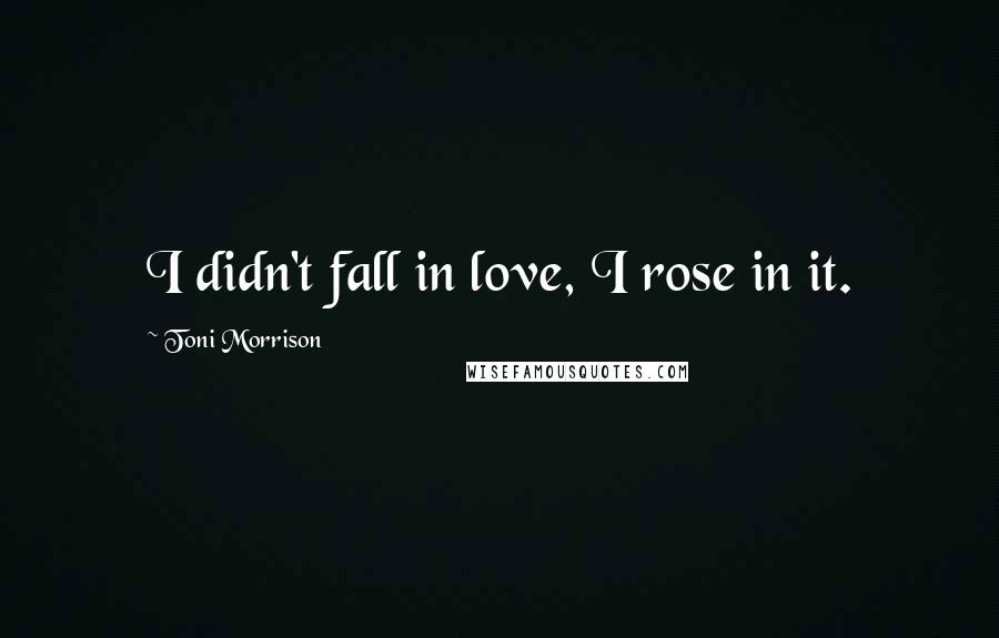 Toni Morrison quotes: I didn't fall in love, I rose in it.