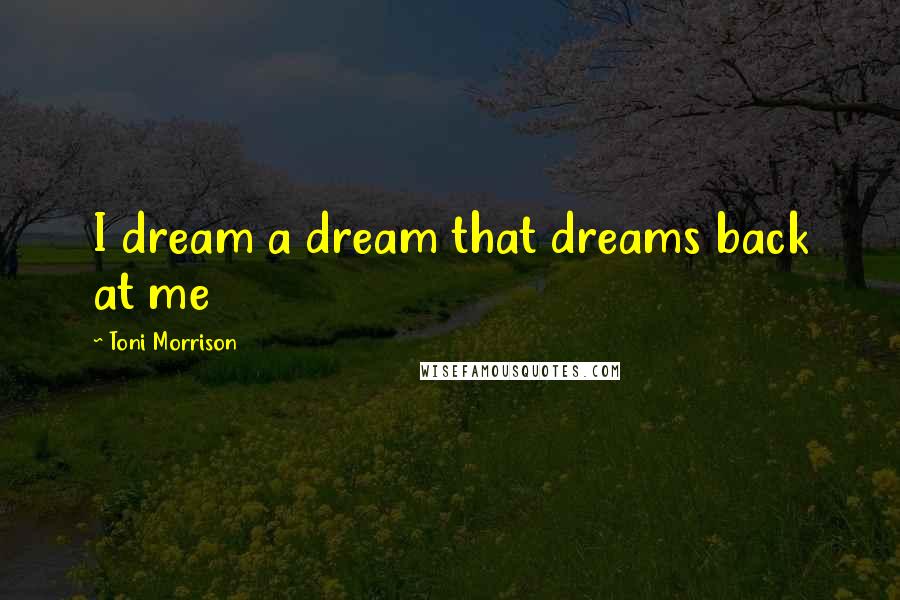 Toni Morrison quotes: I dream a dream that dreams back at me
