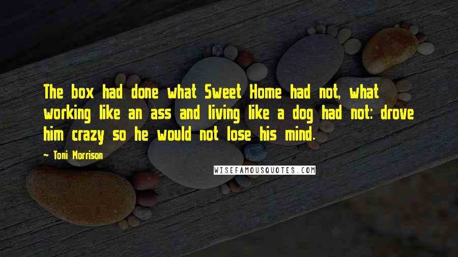 Toni Morrison quotes: The box had done what Sweet Home had not, what working like an ass and living like a dog had not: drove him crazy so he would not lose his