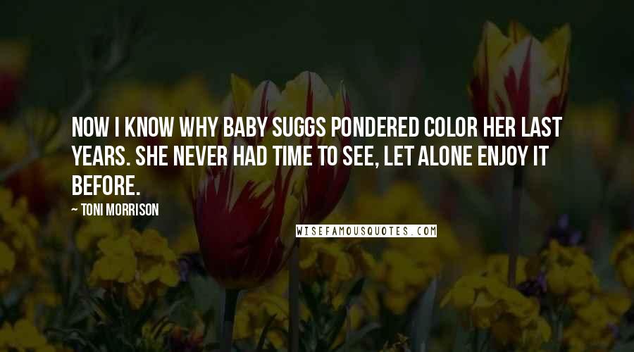 Toni Morrison quotes: Now I know why Baby Suggs pondered color her last years. She never had time to see, let alone enjoy it before.