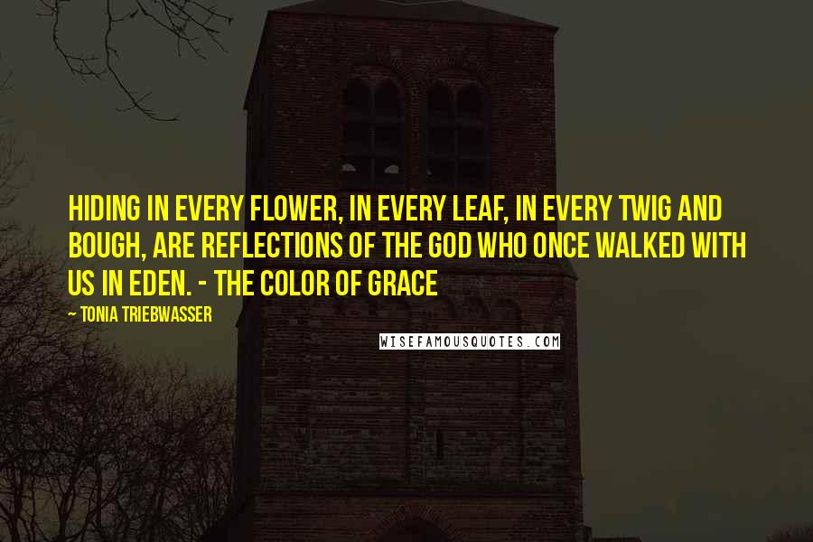 Tonia Triebwasser quotes: Hiding in every flower, in every leaf, in every twig and bough, are reflections of the God who once walked with us in Eden. - The Color of Grace