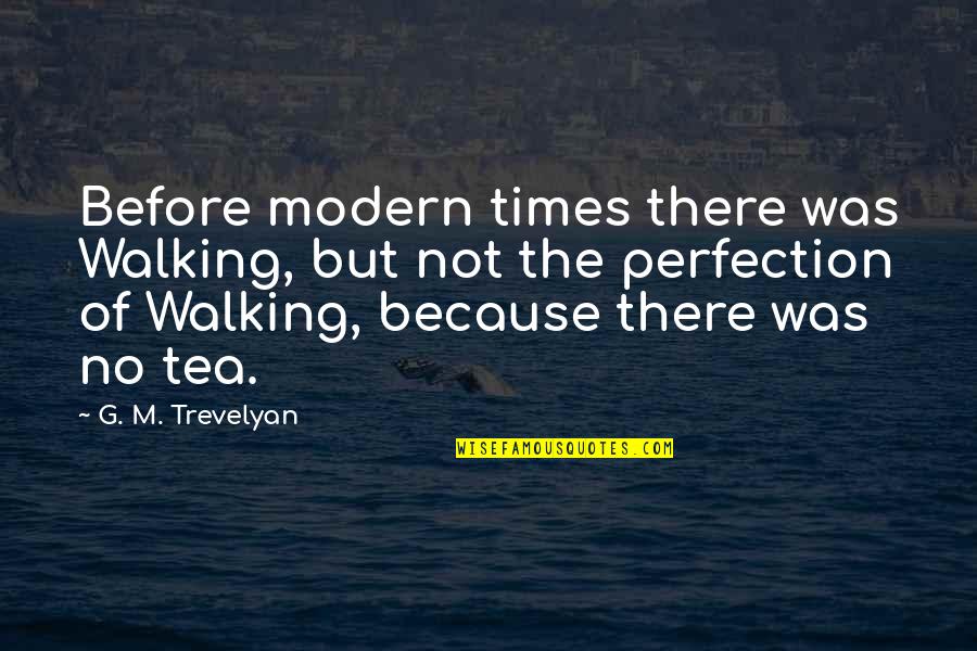 Tonight's Prayer Quotes By G. M. Trevelyan: Before modern times there was Walking, but not