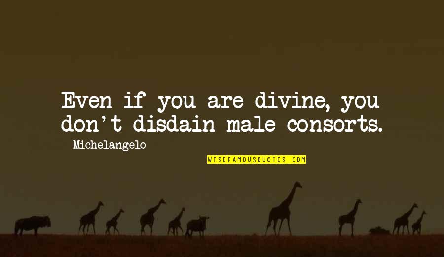 Tonii Florez Quotes By Michelangelo: Even if you are divine, you don't disdain Tonii Florez Quotes By Michelangelo: Even if you are divine, you don't disdain