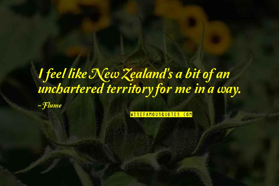 Tonks Harry Quotes By Flume: I feel like New Zealand's a bit of