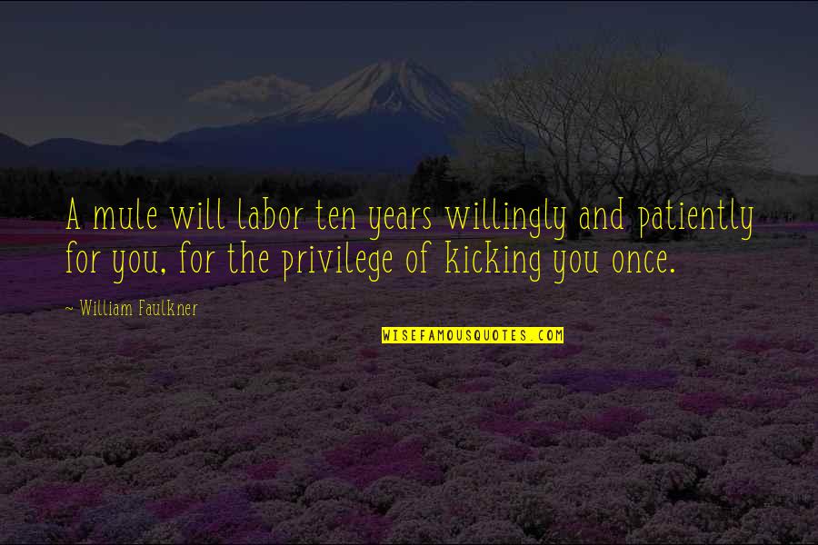 Tonos Musicales Quotes By William Faulkner: A mule will labor ten years willingly and