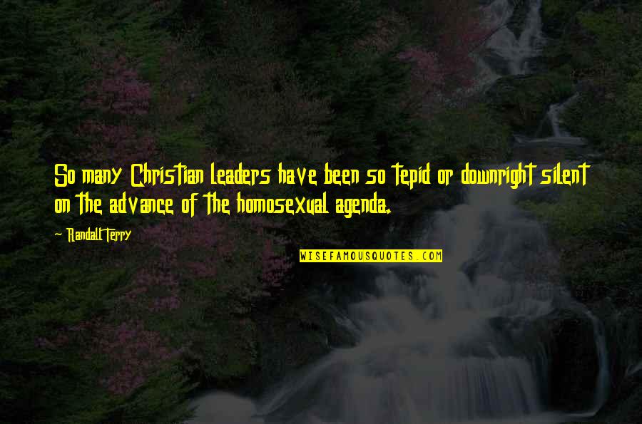 Tonry Ins Quotes By Randall Terry: So many Christian leaders have been so tepid