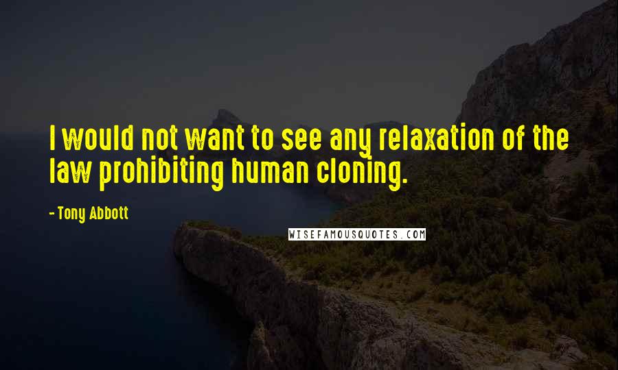 Tony Abbott quotes: I would not want to see any relaxation of the law prohibiting human cloning.