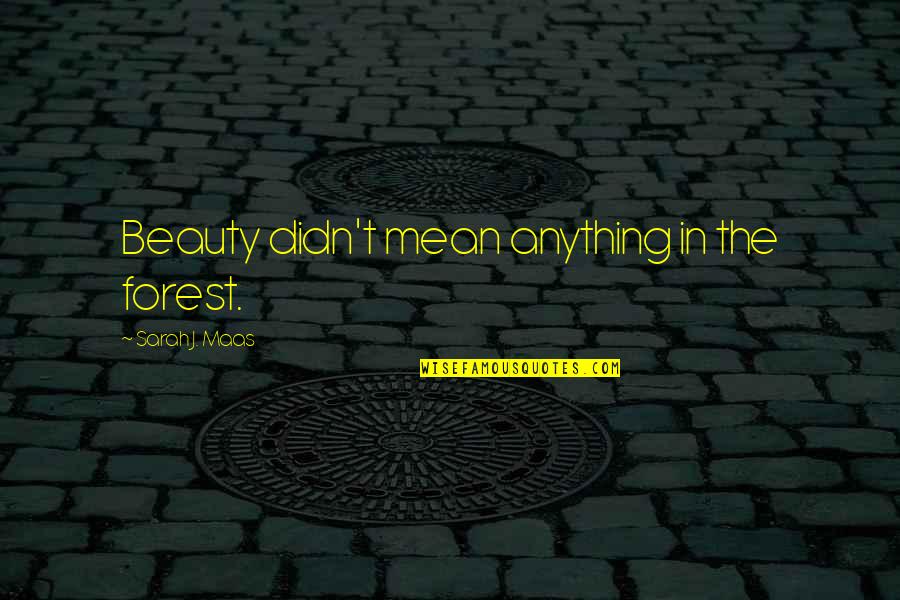 Tony Attwood Asperger's Quotes By Sarah J. Maas: Beauty didn't mean anything in the forest. Tony Attwood Asperger's Quotes By Sarah J. Maas: Beauty didn't mean anything in the forest.