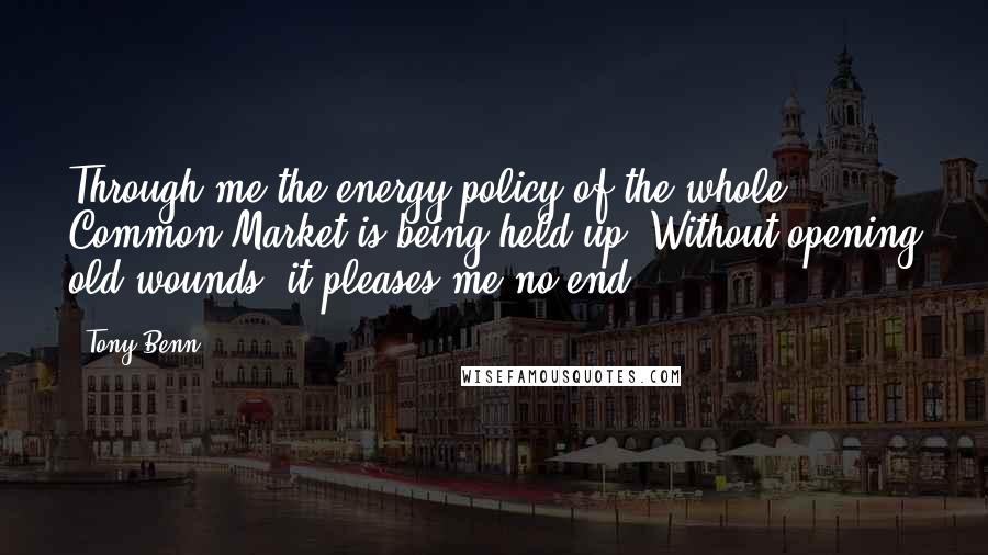 Tony Benn quotes: Through me the energy policy of the whole Common Market is being held up. Without opening old wounds, it pleases me no end.