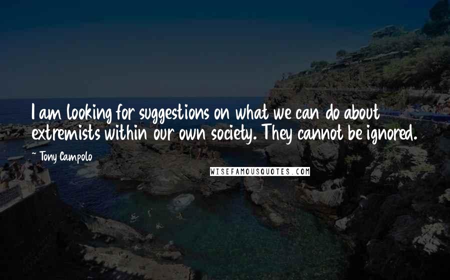 Tony Campolo quotes: I am looking for suggestions on what we can do about extremists within our own society. They cannot be ignored.