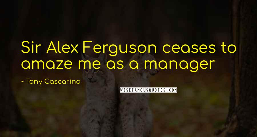 Tony Cascarino quotes: Sir Alex Ferguson ceases to amaze me as a manager