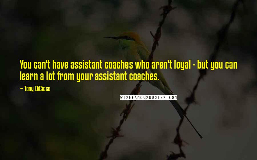 Tony DiCicco quotes: You can't have assistant coaches who aren't loyal - but you can learn a lot from your assistant coaches.
