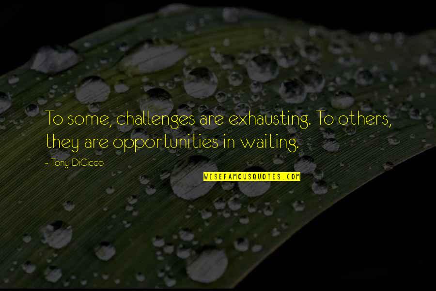 Tony Dicicco Quotes By Tony DiCicco: To some, challenges are exhausting. To others, they