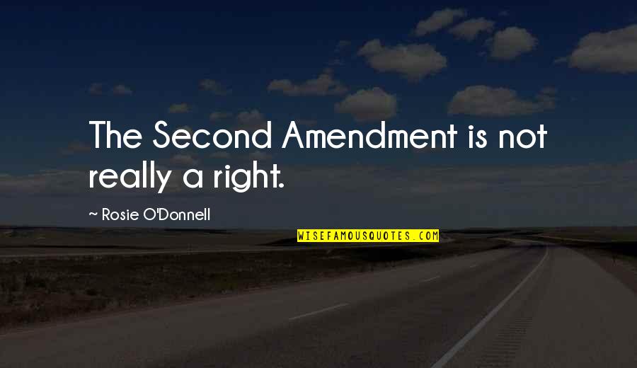 Tony Gaskins Inspirational Quotes By Rosie O'Donnell: The Second Amendment is not really a right. Tony Gaskins Inspirational Quotes By Rosie O'Donnell: The Second Amendment is not really a right.