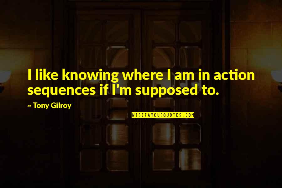 Tony Gilroy Quotes By Tony Gilroy: I like knowing where I am in action