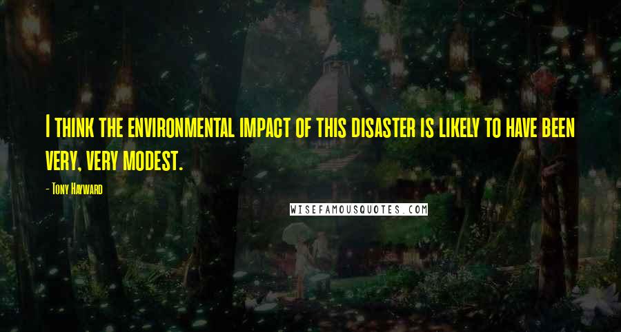 Tony Hayward quotes: I think the environmental impact of this disaster is likely to have been very, very modest.