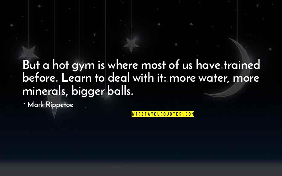 Tony Stonem Quotes By Mark Rippetoe: But a hot gym is where most of