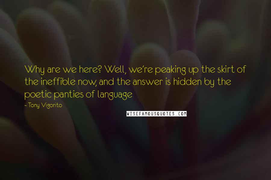 Tony Vigorito quotes: Why are we here? Well, we're peaking up the skirt of the ineffible now, and the answer is hidden by the poetic panties of language