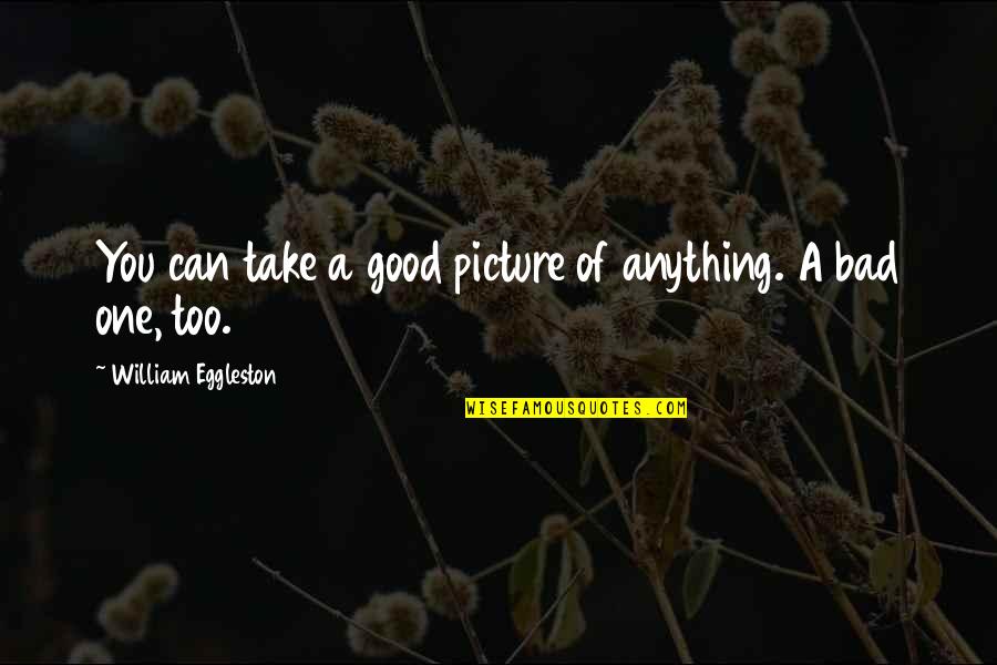 Too Bad Quotes By William Eggleston: You can take a good picture of anything.