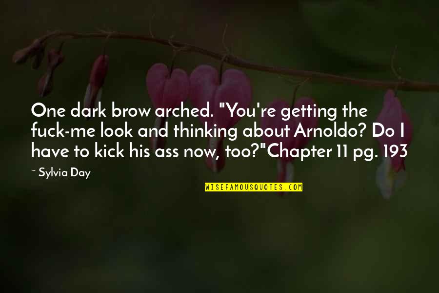 Too Dark Quotes By Sylvia Day: One dark brow arched. "You're getting the fuck-me
