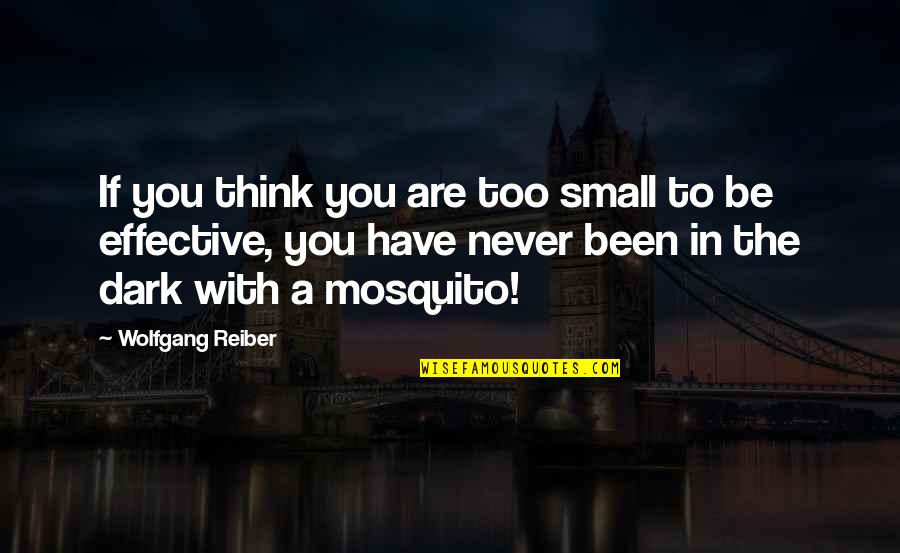 Too Dark Quotes By Wolfgang Reiber: If you think you are too small to