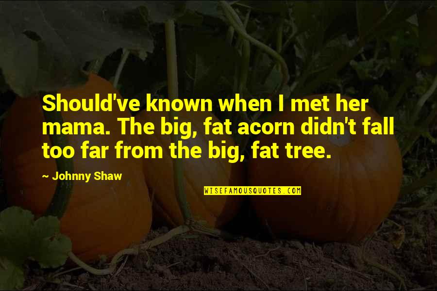 Too Fat Quotes By Johnny Shaw: Should've known when I met her mama. The