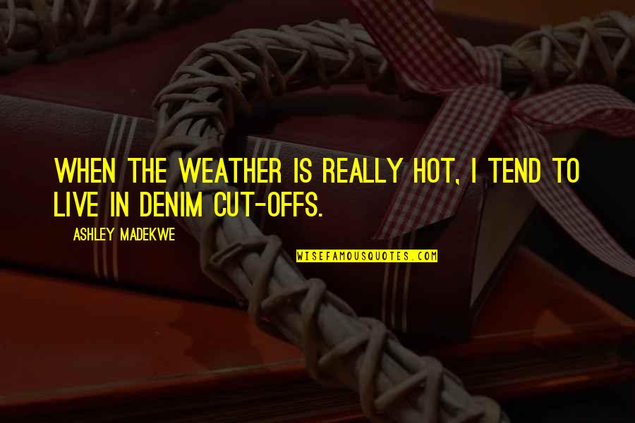 Too Hot Weather Quotes By Ashley Madekwe: When the weather is really hot, I tend